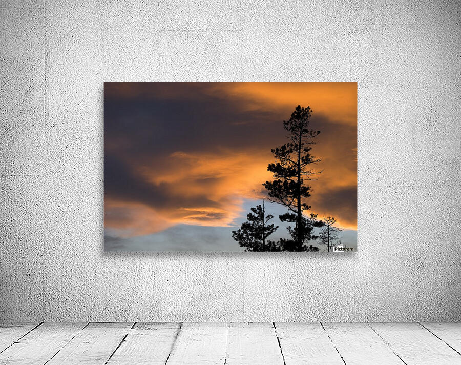 Silhouetted Tree At Sunset Wall Preview