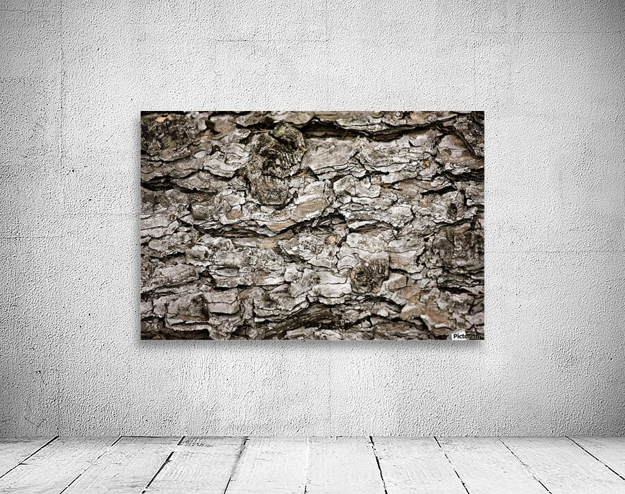 Bark On A Tree Wall Preview