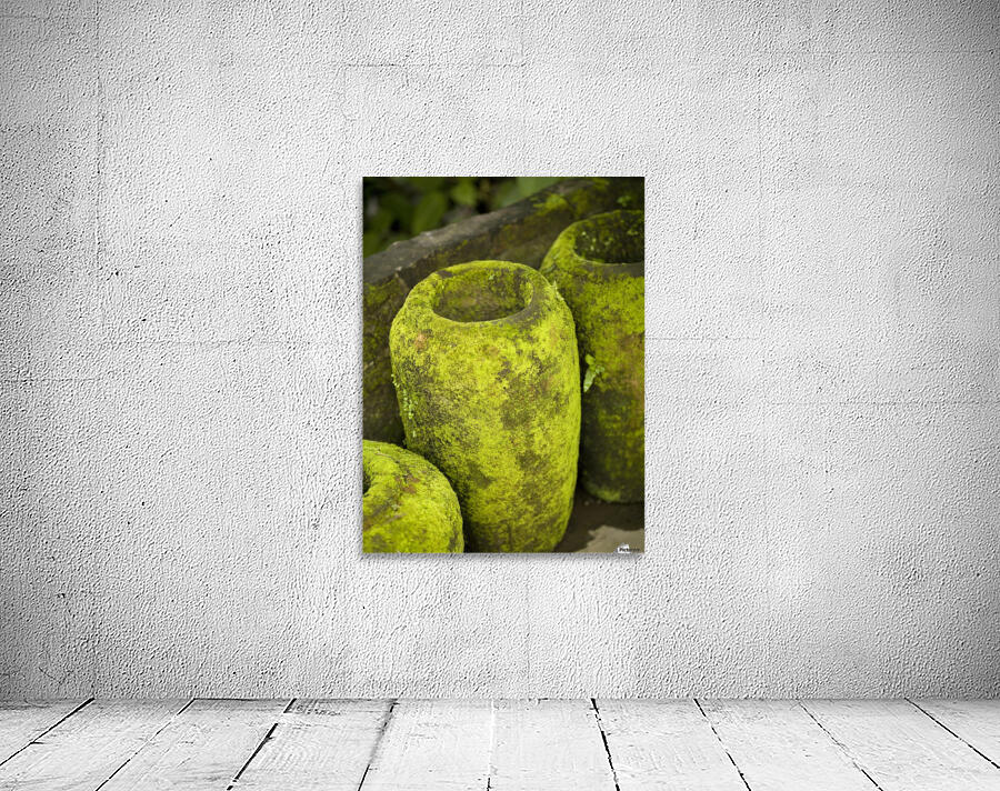 Moss Covered Urns Wall Preview
