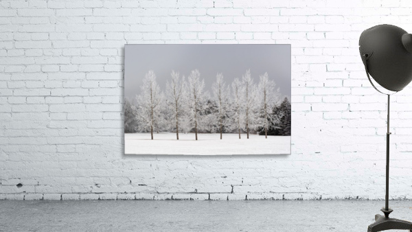 Winter, Calgary, Alberta, Canada Wall Preview