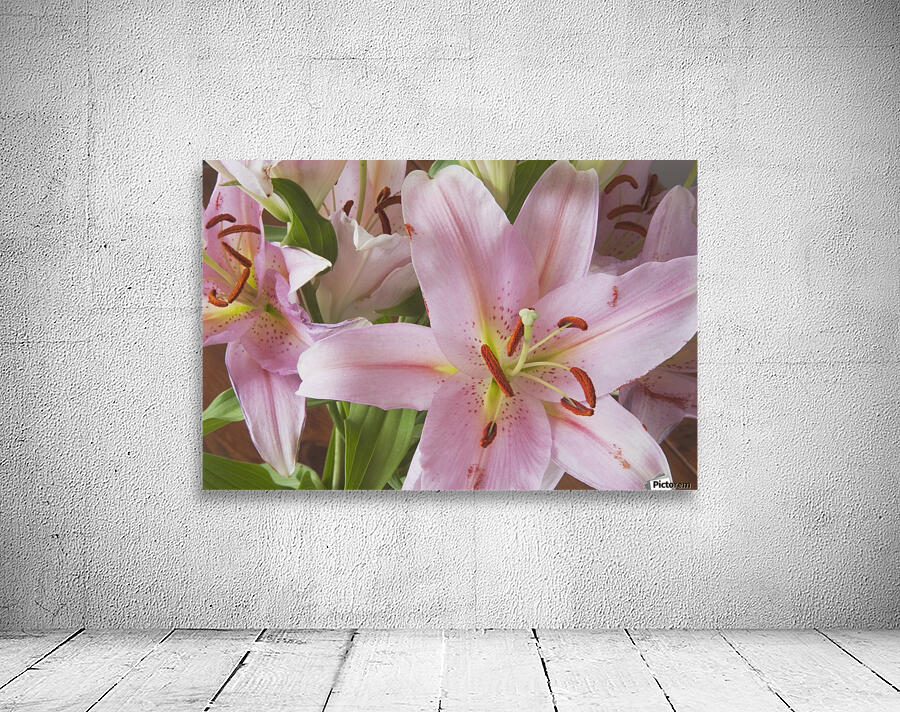 Asiatic Lily Wall Preview