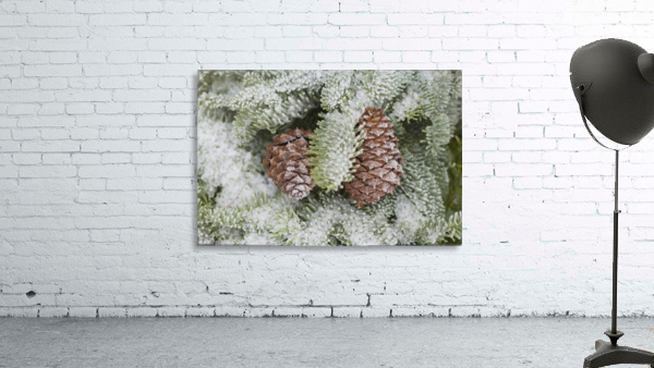 Frost On Pine Cones Wall Preview