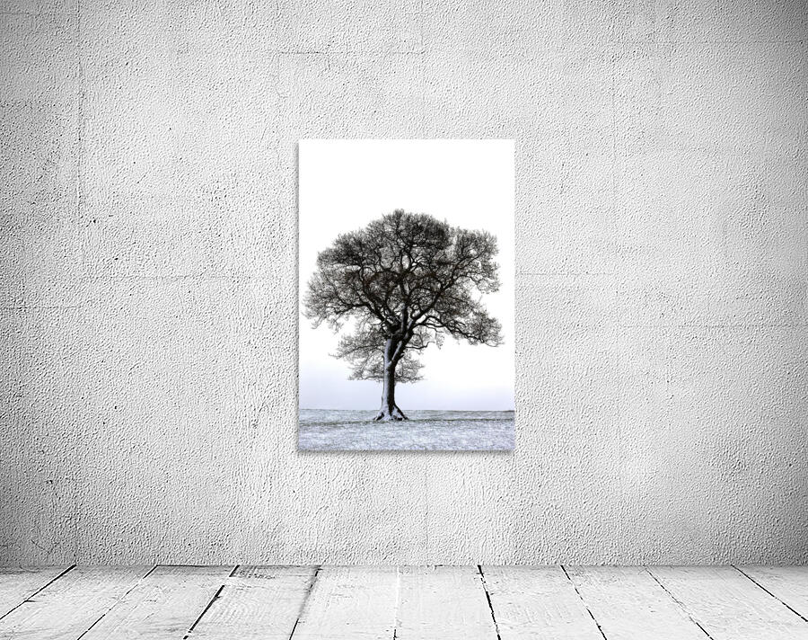 Lone Tree In Field Wall Preview