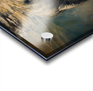 sea ​​cow Acrylic print