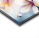 tropical white poppy Acrylic print