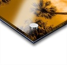 Palms to heaven Impression Acrylique