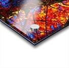 Red & Orange Acrylic print