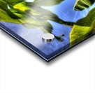 PLATANAL Acrylic print