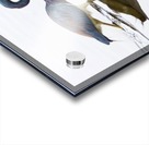 Face to Face Impression Acrylique