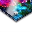 Amapola Acrylic print