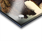 The roots of life Acrylic print