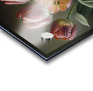 tulips flowers II Acrylic print