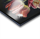 tulips flowers VI Acrylic print