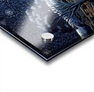 starry night over plains Acrylic print