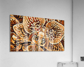 Mayan Orchid Acrylic Print