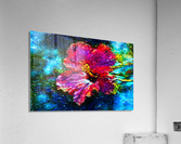 Amapola Acrylic Print