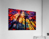 Tree of Colors Acrylic Print