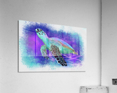 Splashed Water Turtle Acrylic Print