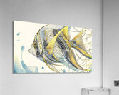 FISH ART 21 Acrylic Print