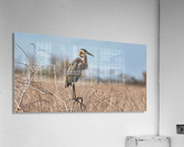 Winter is Here Acrylic Print