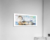 Duck in Lake Acrylic Print