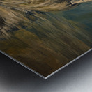 sea ​​cow Metal print