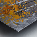 autumn in orange color Metal print