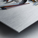 pelican group Metal print