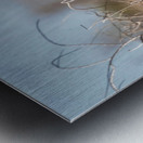 Winter is Here Metal print