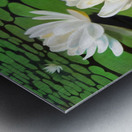 Water Lily Painting Metal print