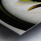 net attract Impression metal