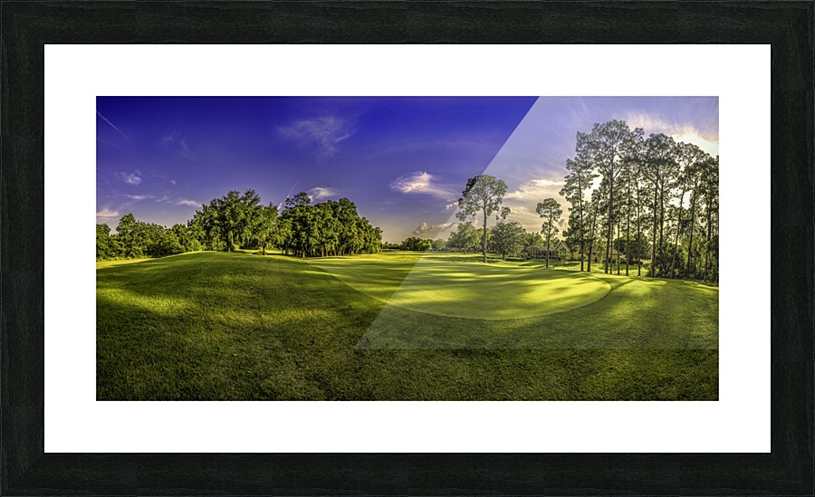 FLORIDA GOLF COURT Picture Frame print