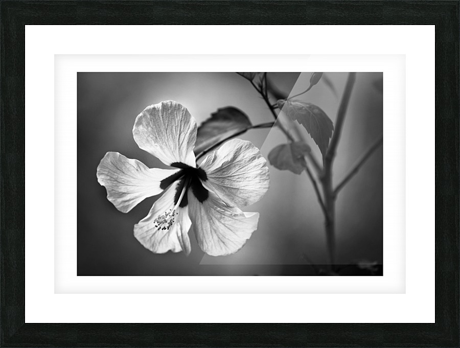 White Sin Picture Frame print