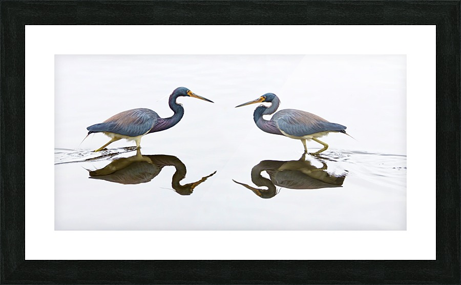 Face to Face Impression et Cadre photo