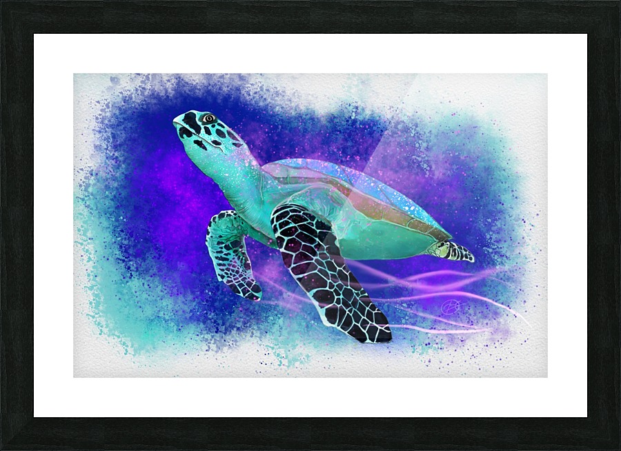 Splashed Water Turtle Picture Frame print