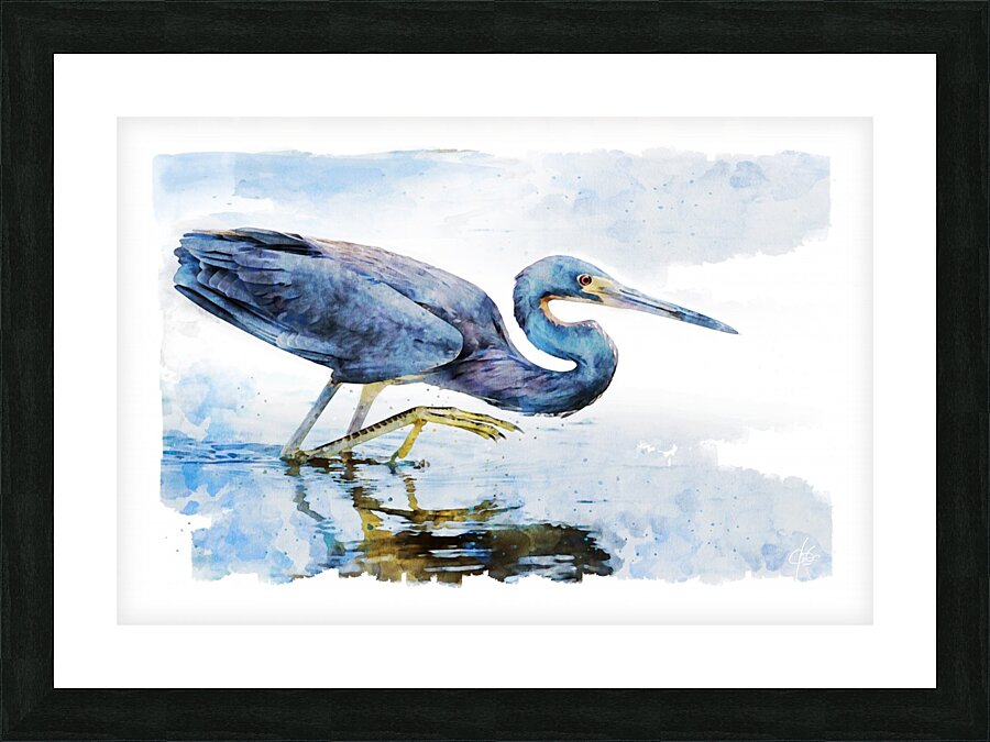 Bird in Water Impression et Cadre photo