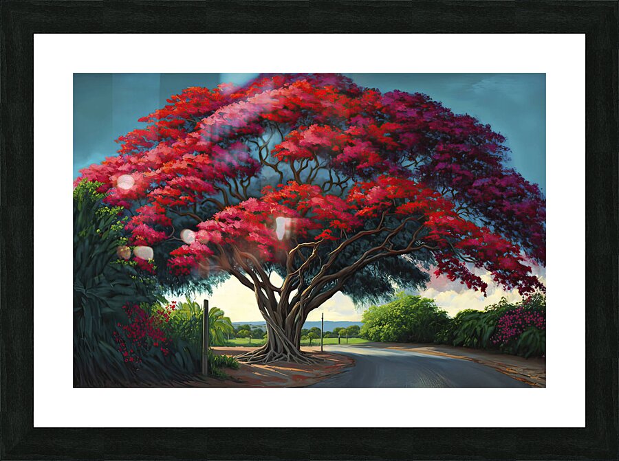 flamboyan de puerto rico Picture Frame print