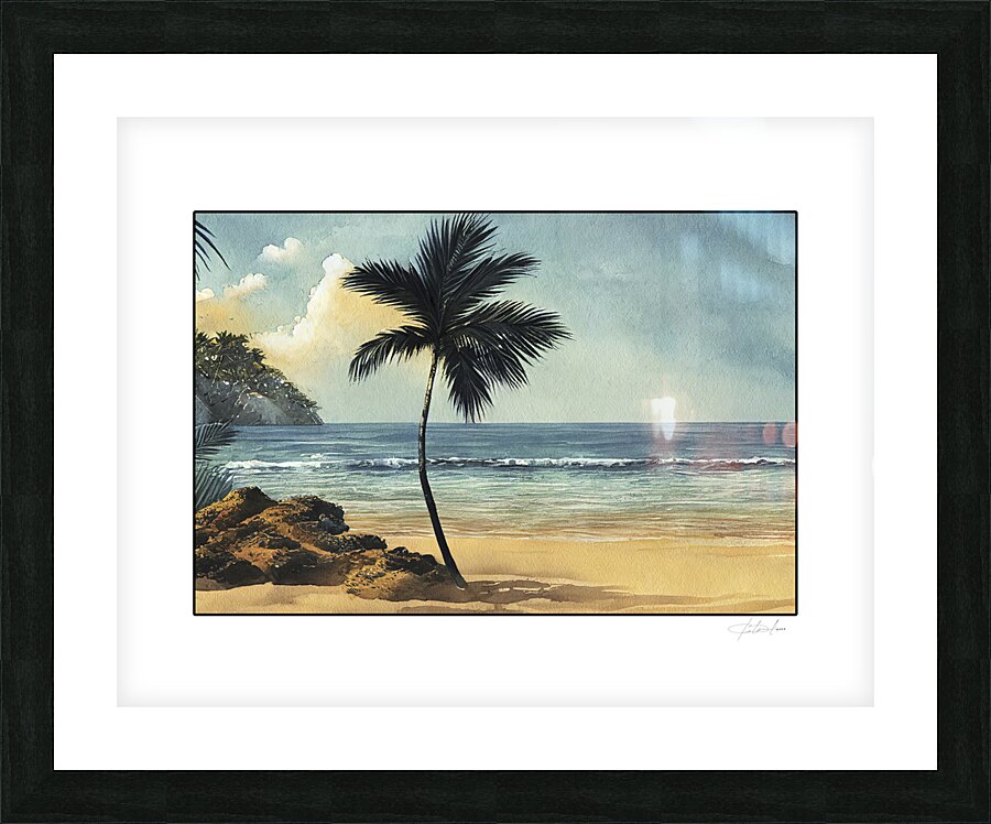 tropical beach Impression et Cadre photo