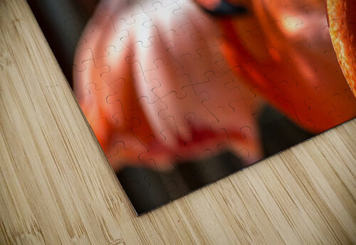 flamingo family George Bloise puzzle