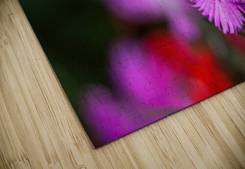 Rose Flowers Color George Bloise puzzle