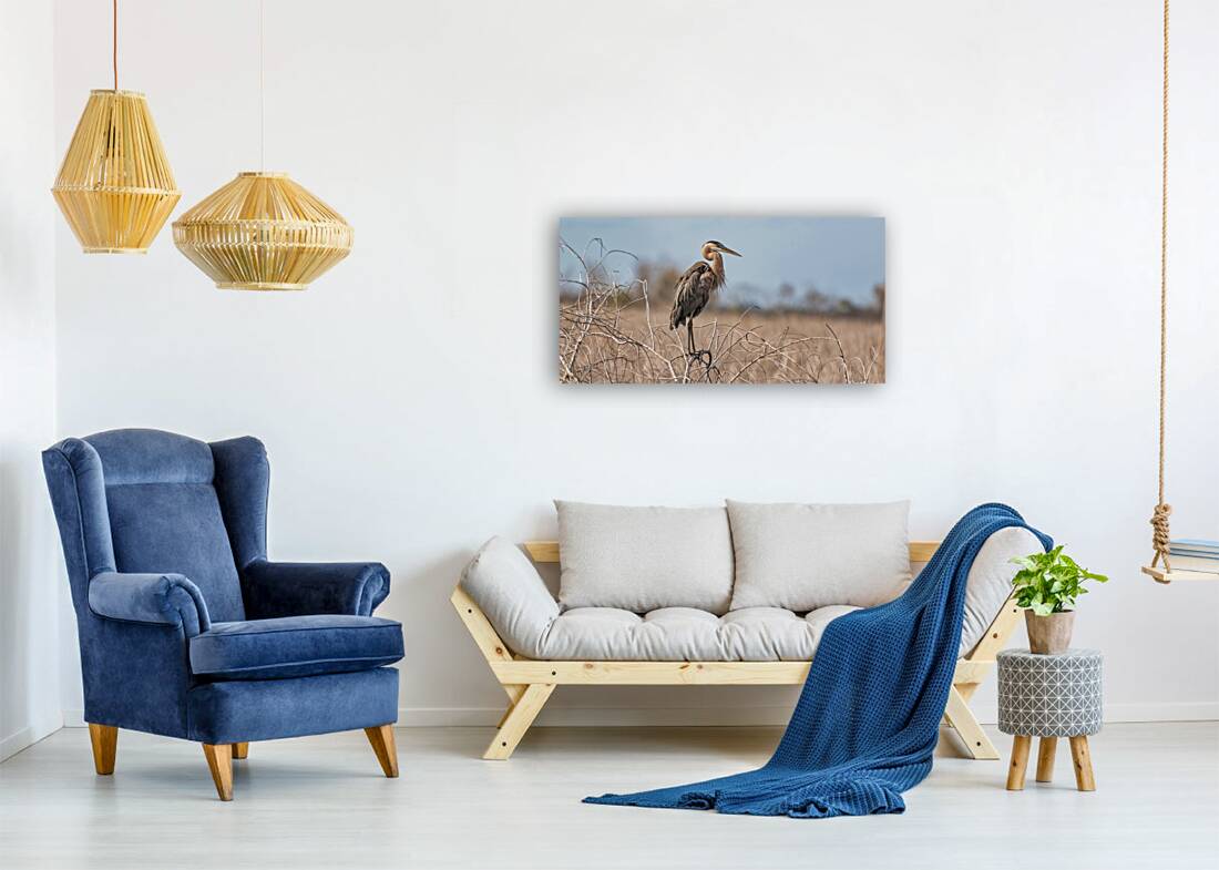 Winter is Here Reproduction