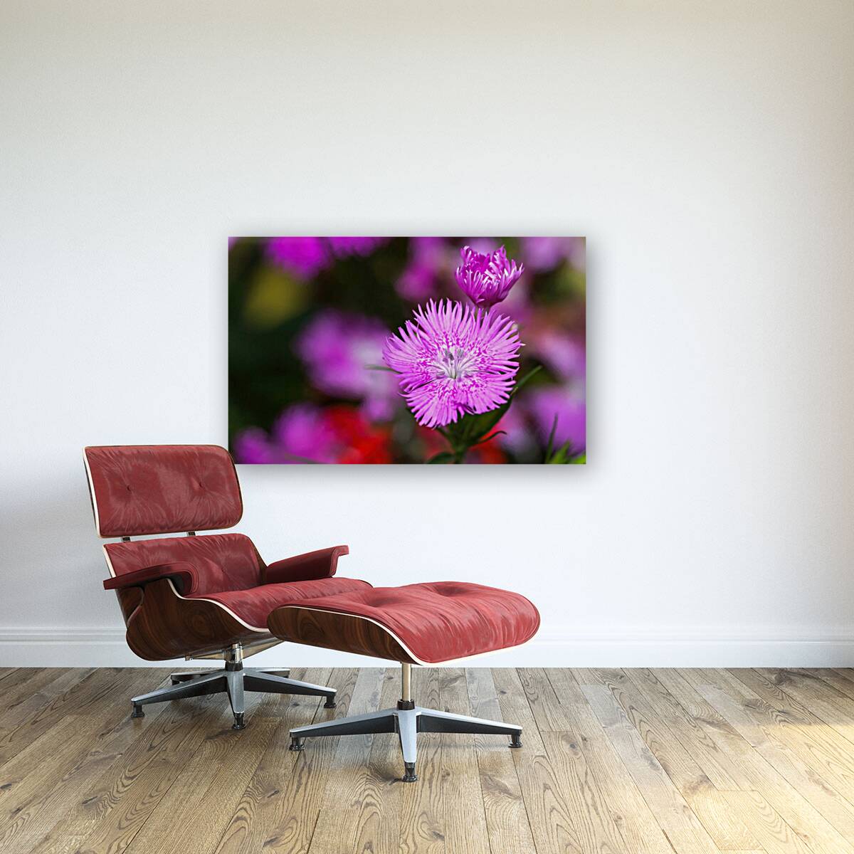 Rose Flowers Color Reproduction