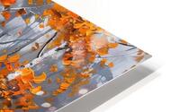 autumn in orange color HD Metal print