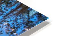 FLORIDA LAKE HD Metal print