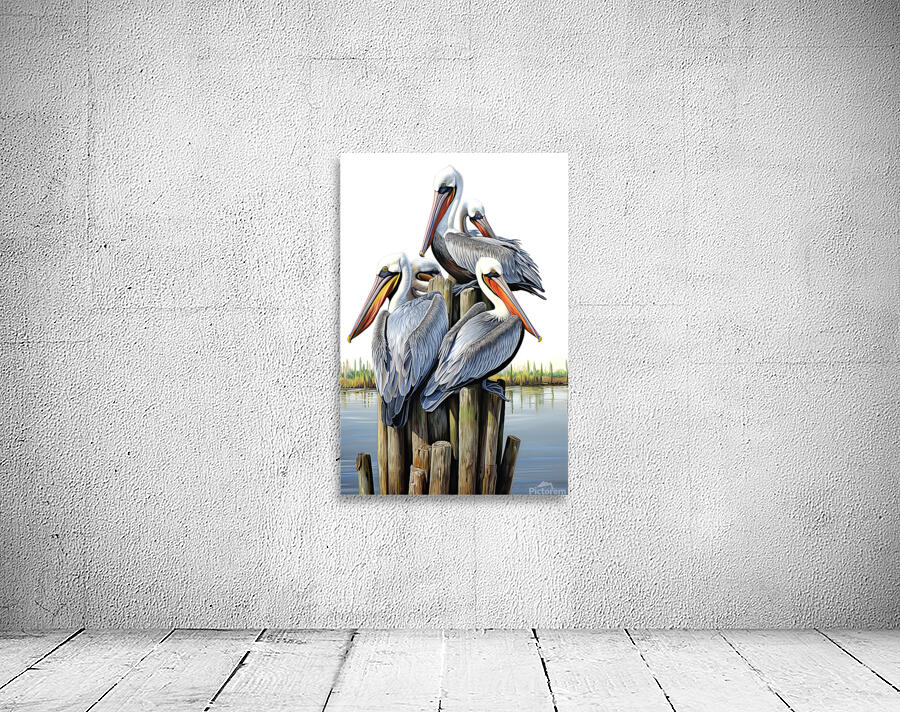 pelican group Wall Preview