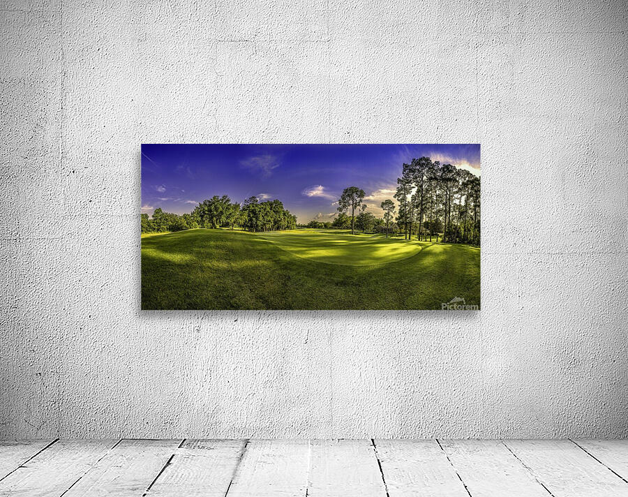 FLORIDA GOLF COURT Wall Preview