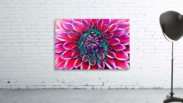 Red flower and Green Wall Preview