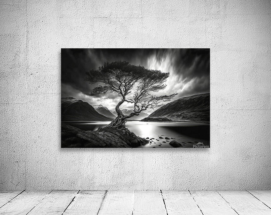 black and white sunset Wall Preview