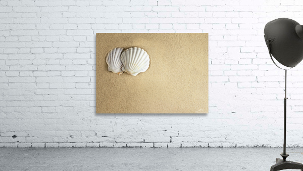 sea shells on sand Wall Preview