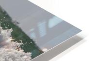 Big Surf HD Metal print